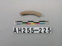 藏品(灰色泥質陶環殘件)的圖片